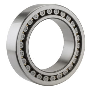 Bearing NNU 4920